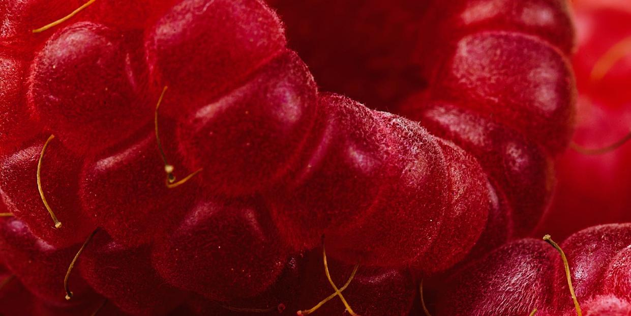 Raspberries close up macro of fruit berries