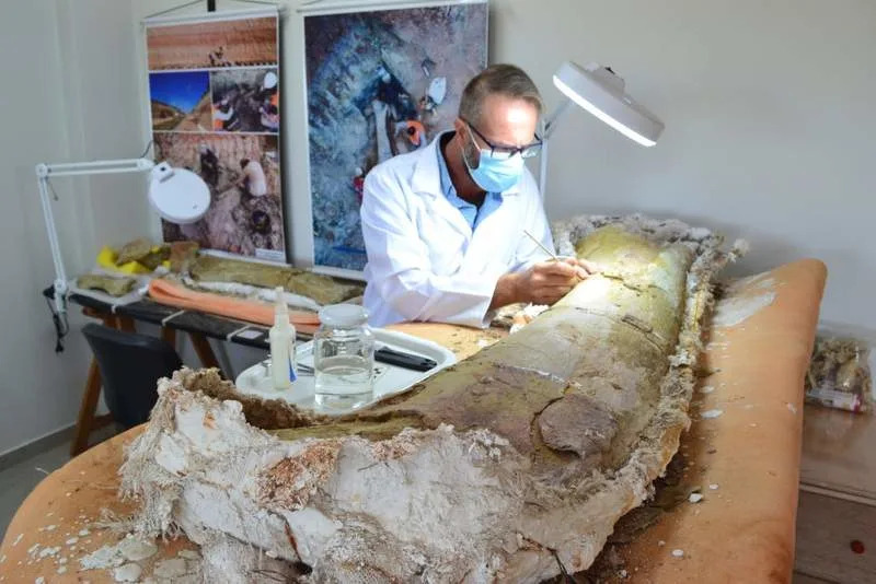 Elver Mayer prepares a femur fossil, approximately 1.5 meters long. (CREDIT: Elver Mayer/Univasf)
