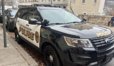 Bear sighted in Bethlehem's west side, police warn residents to use caution | Bethelehm Area