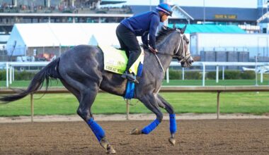 Great White is fine after throwing his jockey and getting scratched late from the Kentucky Derby | National News