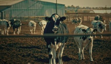 New documentary on ag pollution in Yakima Valley draws industry criticism | Business
