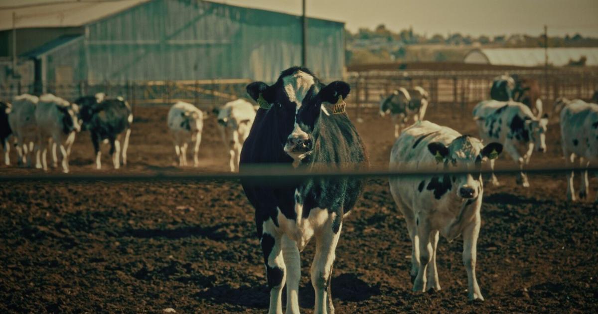New documentary on ag pollution in Yakima Valley draws industry criticism | Business