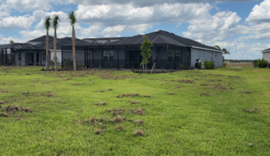 Babcock Ranch homeowner wants answers over who pays after wild hogs tear up yard | Lee County