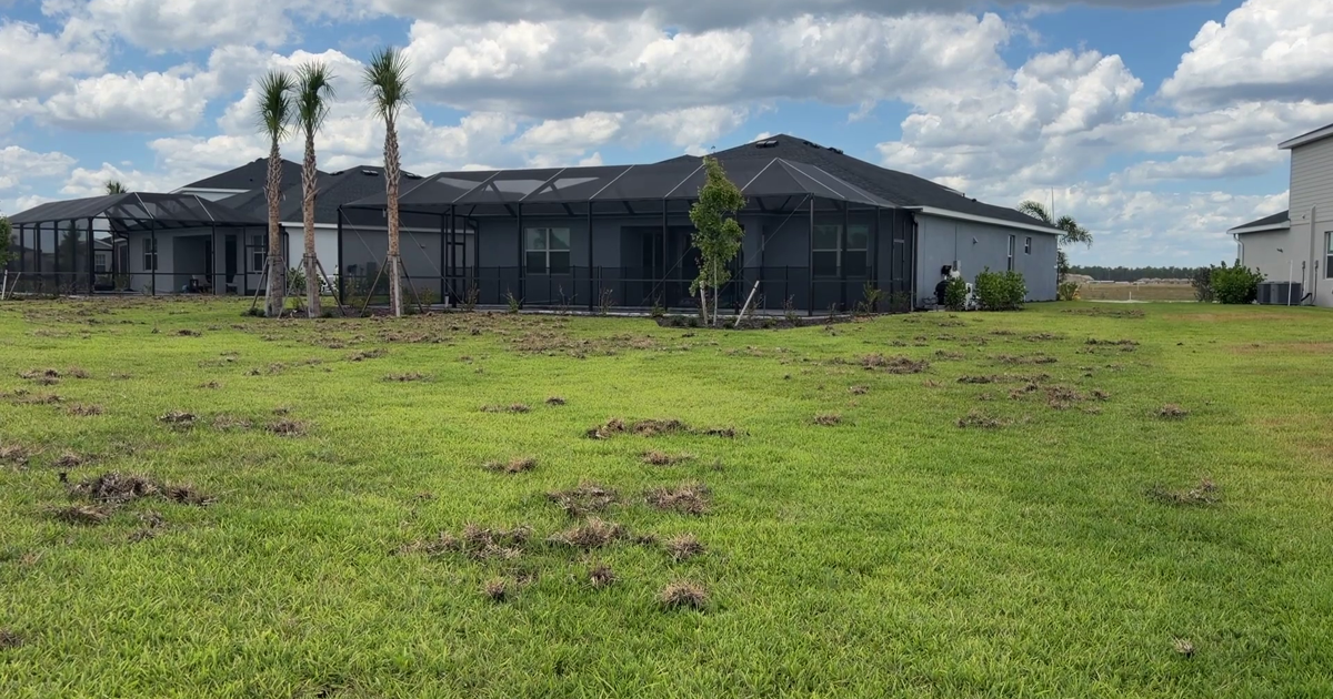 Babcock Ranch homeowner wants answers over who pays after wild hogs tear up yard | Lee County