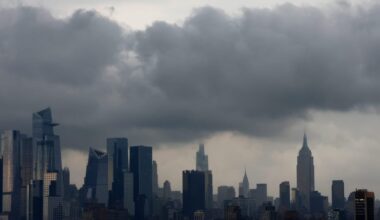 Markets Dealing With 'Confusion' With No Historical Precedent, BofA Says