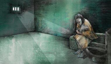 ICE uses solitary as 'quick fix' for mental health issues