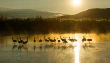 Utah photographers invited to showcase landscapes, outdoor life in statewide contest | News