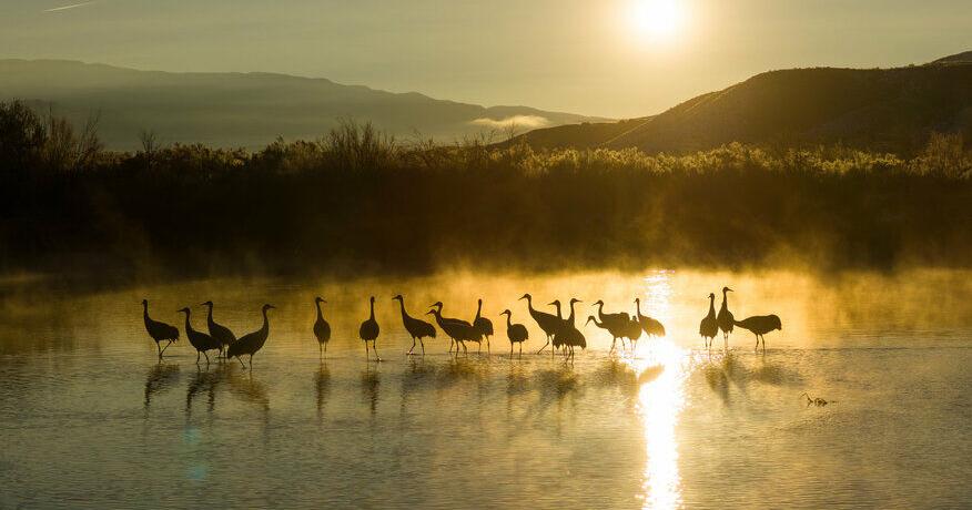 Utah photographers invited to showcase landscapes, outdoor life in statewide contest | News
