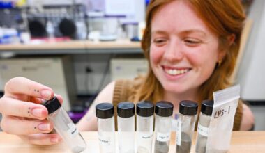 LSU scientists study how moon dust could aid space missions | Education