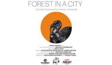 Turkey Mountain documentary to be screened at Philbrook | News