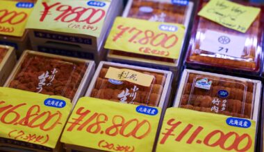 Japan's wholesale inflation spikes on energy shock, bolsters case for June rate hike