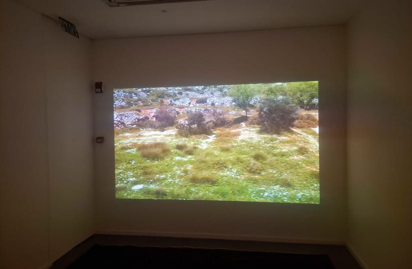 Romanian-born Dorian Gottlieb’s video work ‘If You Loved Me and If’ offers a nostalgic trip back to the landscapes Anna Ticho roamed near Jerusalem.