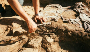 Scientists Discovered Remains of the Earliest Animals on Earth. They May Have Made a Big Mistake.