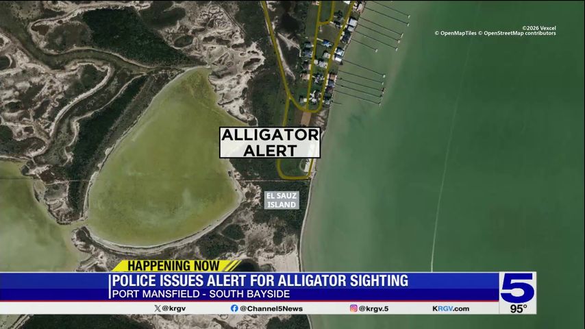 Alligator sighting in Port Mansfield prompts safety warning