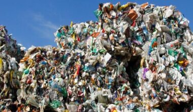 The Tech That Could Turn Plastic Waste Into a Trillion Dollar Opportunity