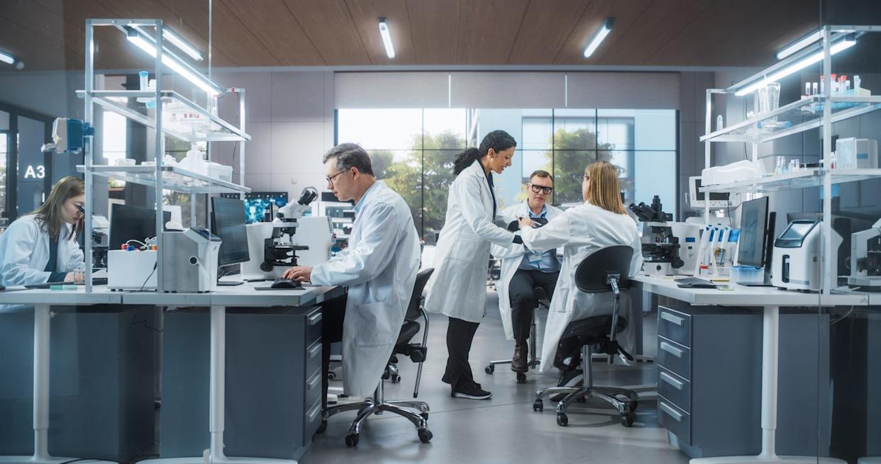 Several researchers are working alone or engaging in discussion in a pharmaceutical lab.