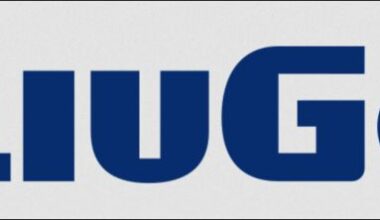 LiuGong Expands Dealer Network Across United States : CEG