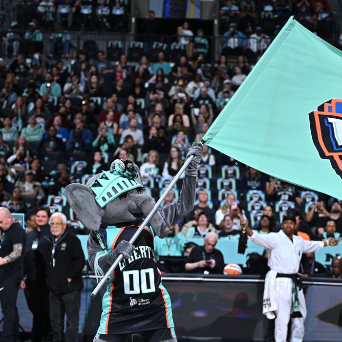 Connecticut Sun v New York Liberty
