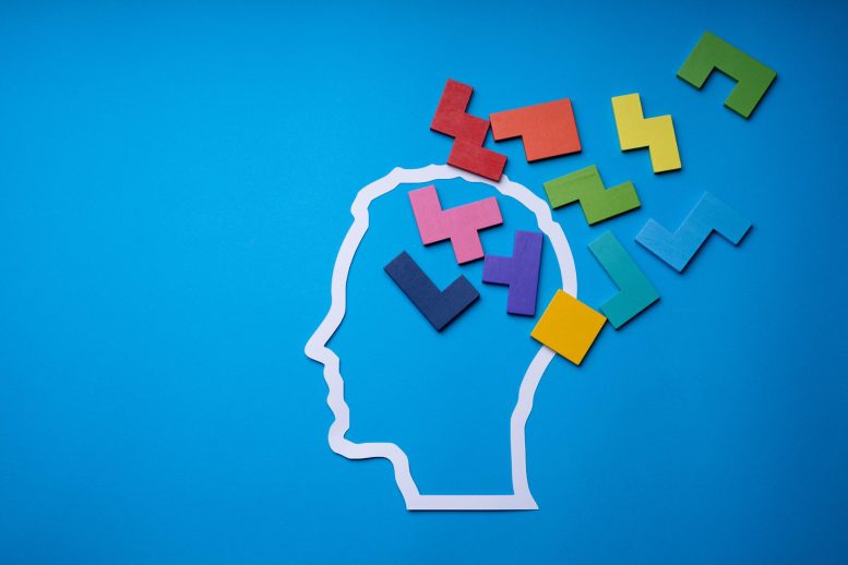 ADHD Brain Blocks Tetris Puzzle Pieces