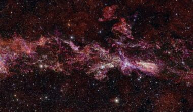 Scientists have taken the largest ever image of the Milky Way. Credit: ALMA(ESO/NAOJ/NRAO)/S. Longmore et al.)