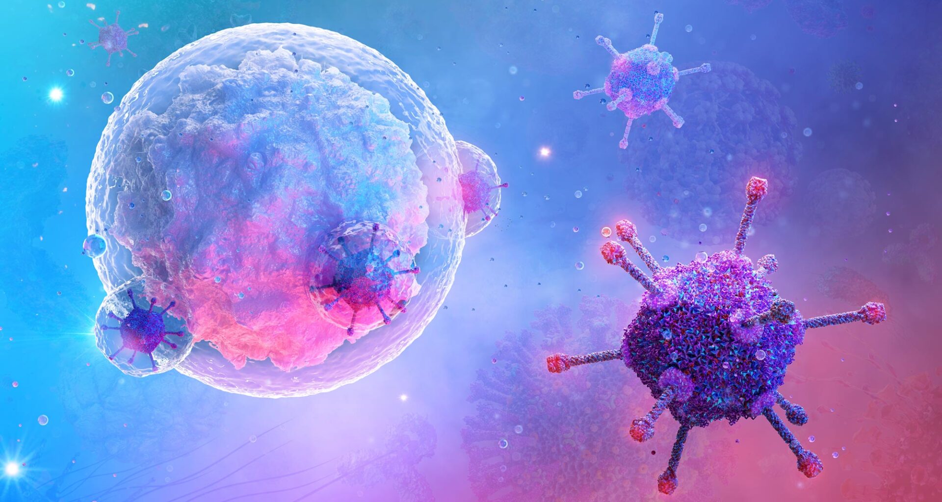 B-Cell White Blood Cell Lymphocyte Virus
