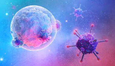 B-Cell White Blood Cell Lymphocyte Virus