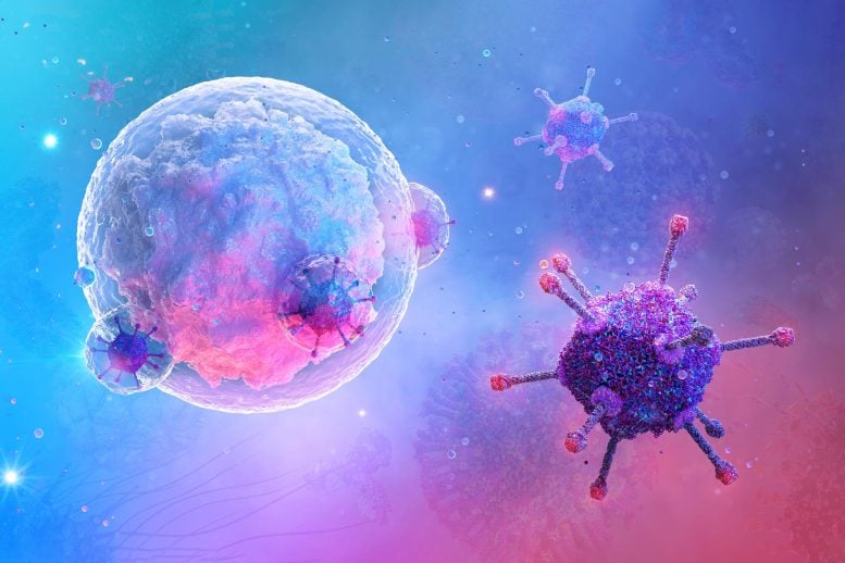 B-Cell White Blood Cell Lymphocyte Virus