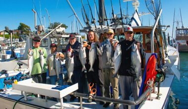 Commercial salmon fishing resumes on the Mendocino coast • The Mendocino Voice