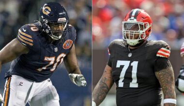 Bears