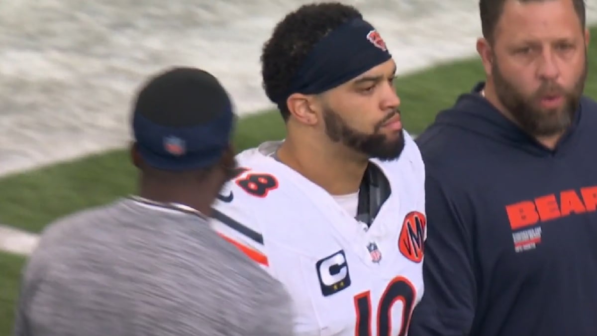 Bears