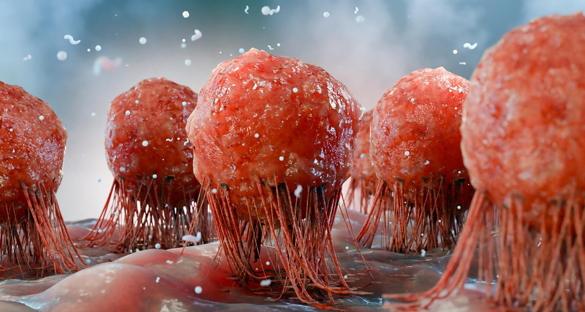 Cancer Tumor Cells Immune Response
