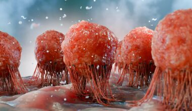 Cancer Tumor Cells Immune Response