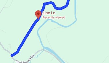 Boy scout group rescued in Capon Bridge after river trip goes awry