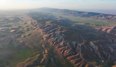 The ramifications of record-shattering heat on the West’s ecosystems