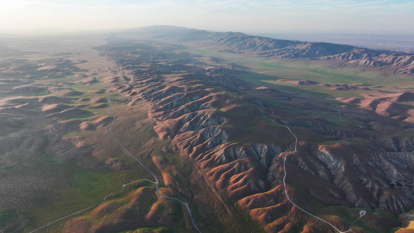 The ramifications of record-shattering heat on the West’s ecosystems