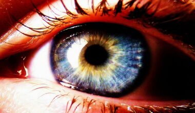 Your Eyes Could Reveal Your Risk of Osteoporosis, Study Finds : ScienceAlert