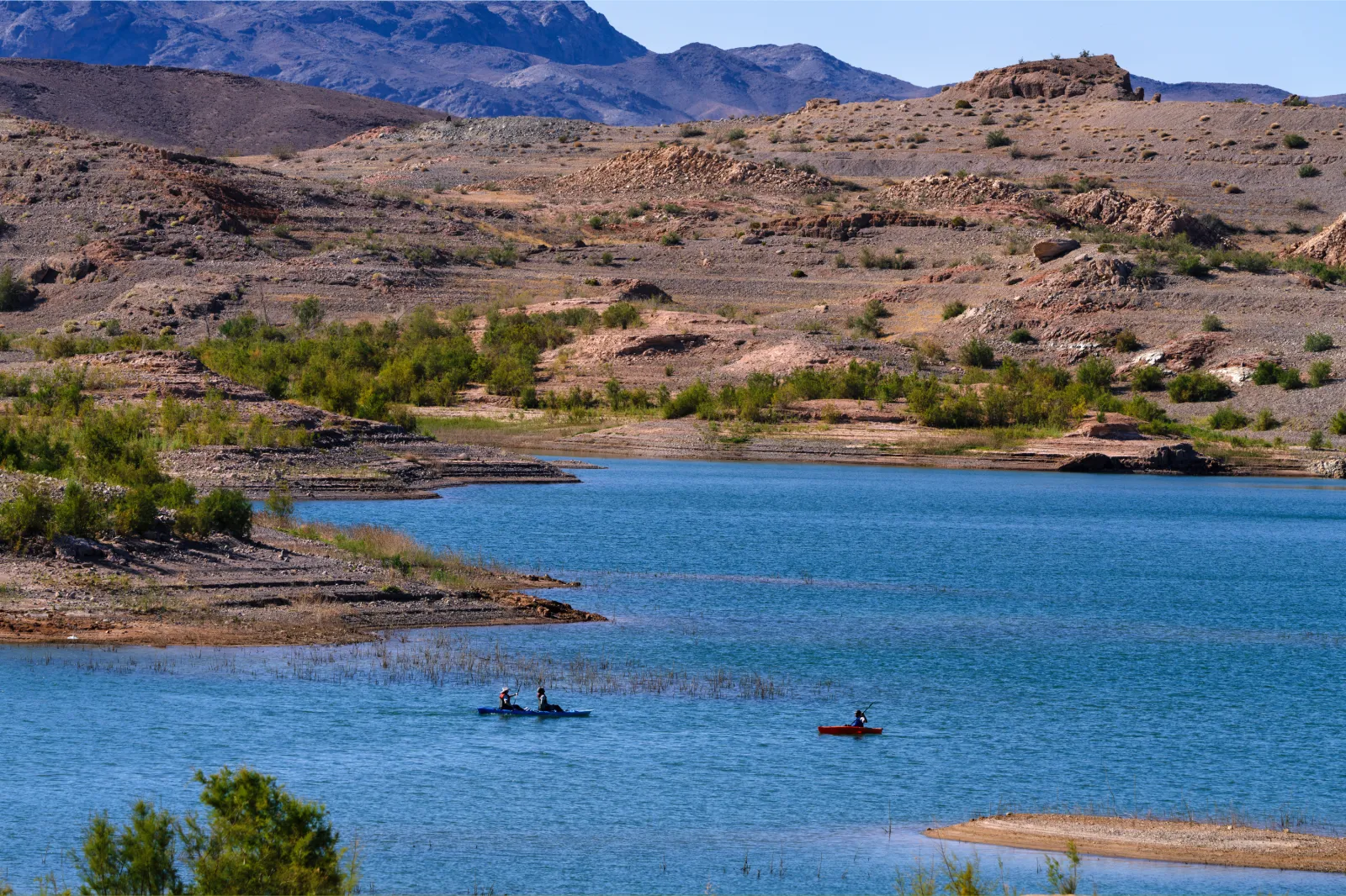 A group of people paddle in kayaks in the Echo Bay area of Lake Mead in 2026.