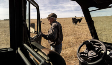 ‘Terrible’ water year prompts emergency order for livestock
