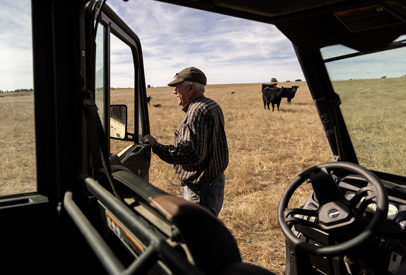 ‘Terrible’ water year prompts emergency order for livestock