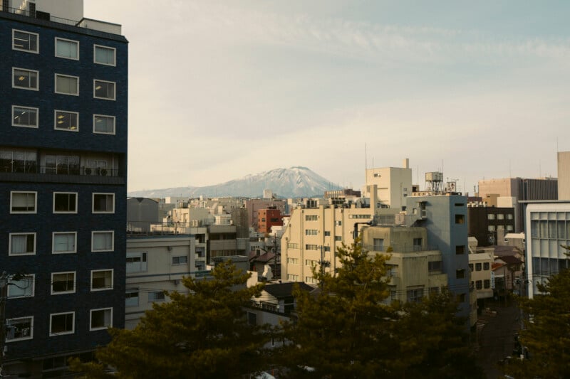 A cityscape with mid-rise buildings and trees in the foreground, with a snow-capped mountain rising in the distance under a pale sky.