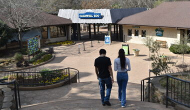 Caldwell Zoo evacuated after ‘copycat bomb threat’, officials say no devices found