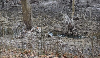 ‘It’s putrid!’: Glen Echo residents press officials after Potomac River sewage spill