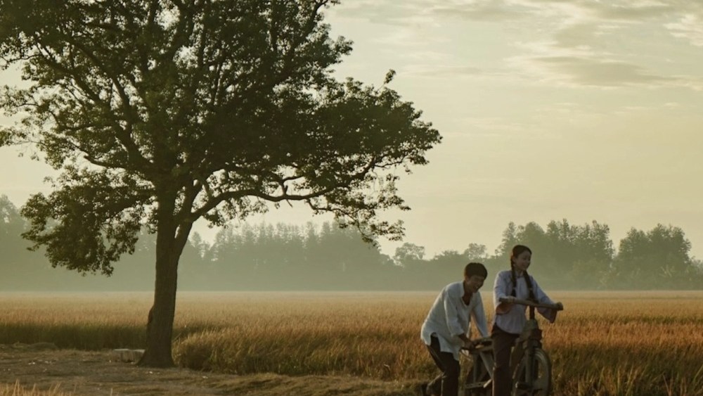 China Box Office: 'Dear You' Enjoys Spectacular Surge