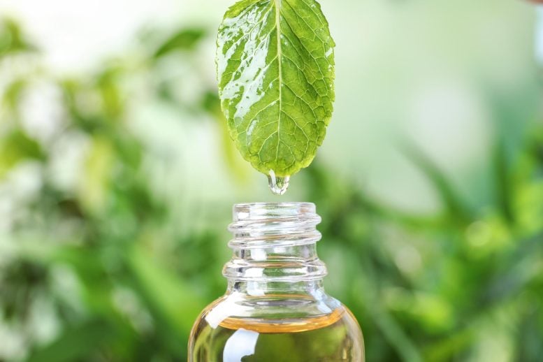 Essential Oil Dripping Mint Leaf Glass Bottle