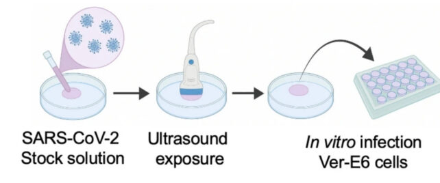 An illustration showing the experiment