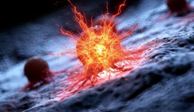 Exploding Cancer Cells