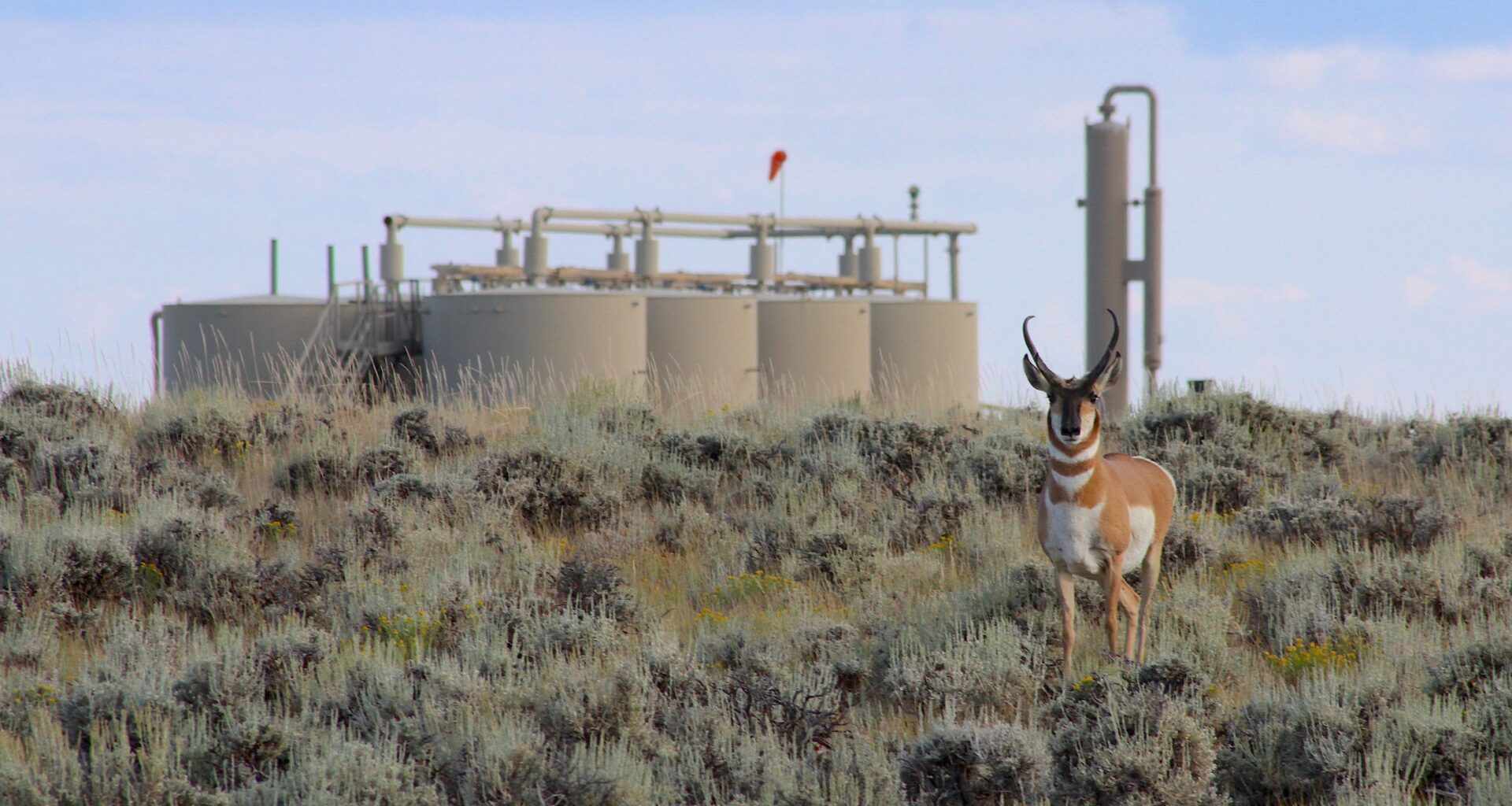 Wyoming’s ‘Path of the Pronghorn’ is a signature away from protections fought over for a quarter century