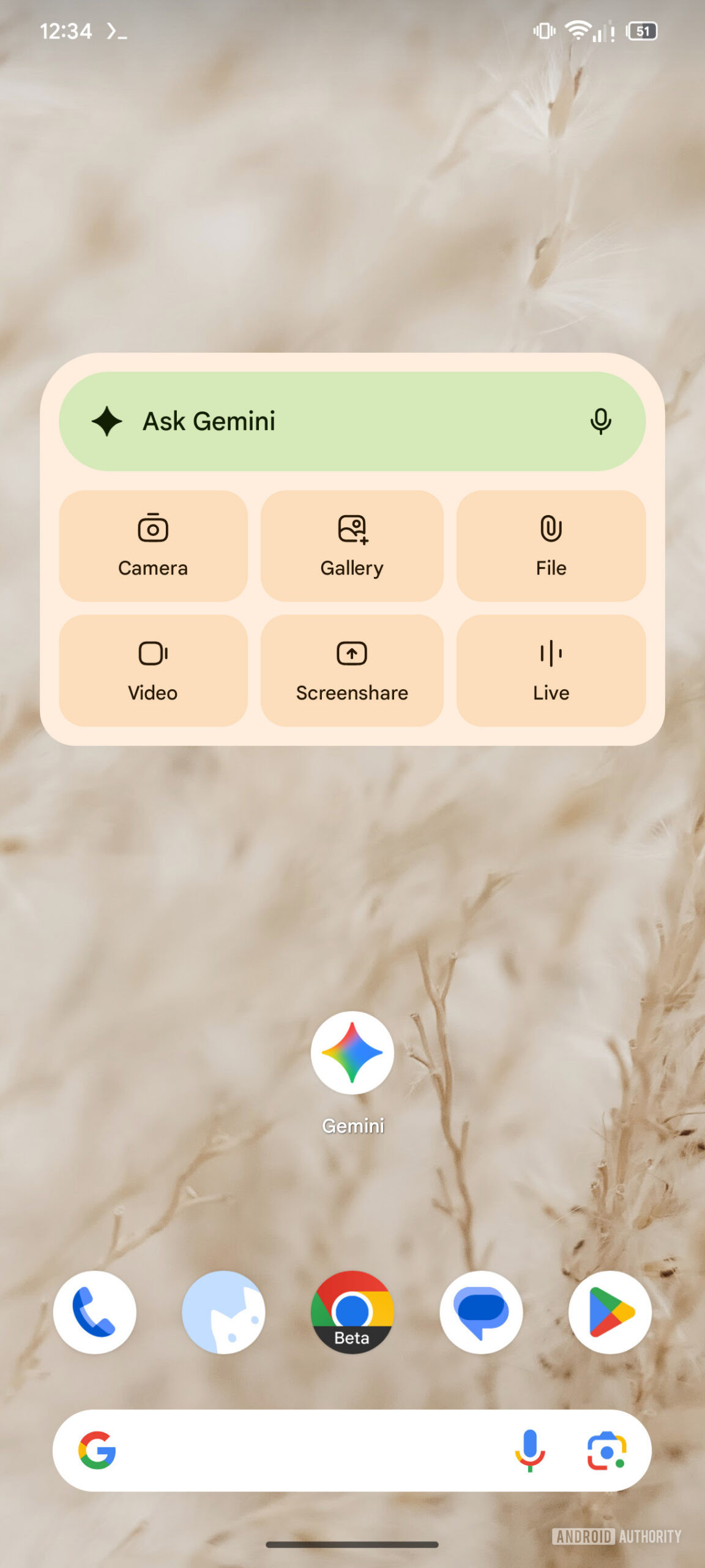 Gemini Upcoming New icons in widget (2)