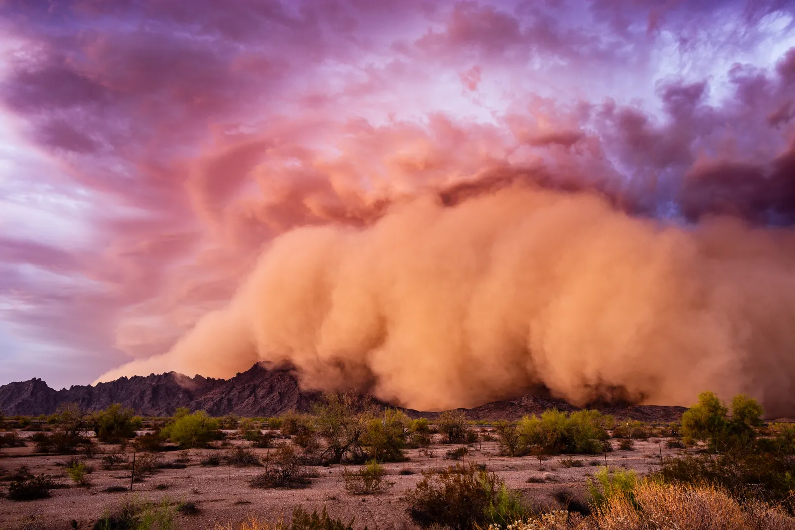 A stock image of a dust storm. A "towering" and "massive" dust storm hit Montana earlier this week, and on Thursday, a dust storm closed a highway.