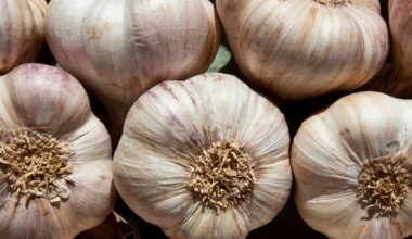 Why Garlic Repels Mosquitoes and Keeps Them From Breeding